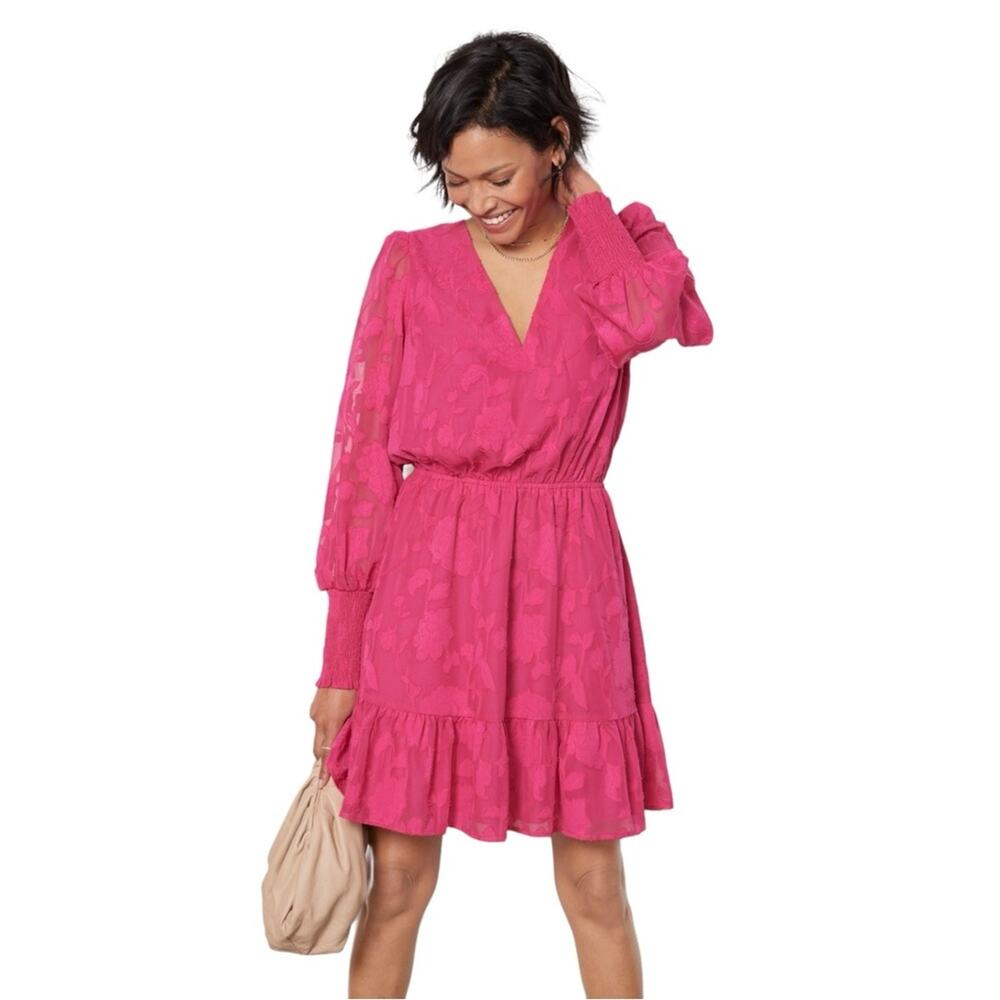 Evereve Penelope Dress V Neck Puff Long Sleeve Organza Floral Pink Mini Size S
